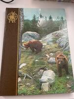 FAUNA - Holarktiska regionen Eurasien, Nordamerika 4