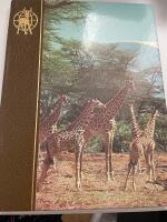 Fauna - Afrika 3