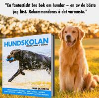 Hundskolan