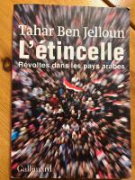 L'étincelle : révoltes dans les pays arabes