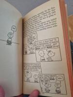 What&acute;s it all about, Charlie Brown?