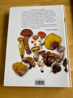 Norstedts stora svampbok