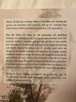 21 ritualer : anv&auml;nd naturens kraft f&ouml;r b&auml;ttre h&auml;lsa, harmoni & inre balans