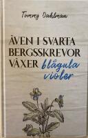 &Auml;ven i svarta bergsskrevor v&auml;xer bl&aring;gula violer