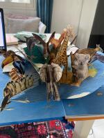 30113: Djurens atlas