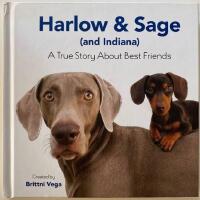Harlow & Sage (and Indiana)