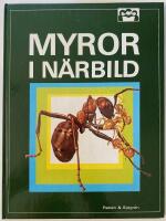 Myror i n&auml;rbild