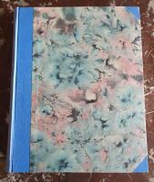 Foto-Magazin. Januar bis Dezember 1967 (12 Hefte : Hela &aring;rg&aring;ngen).