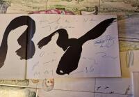 Peter Nyborg. - Virtus Schade