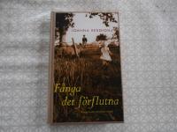 F&aring;nga det f&ouml;rflutna