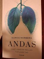Andas : livet h&auml;nder mellan tv&aring; andetag