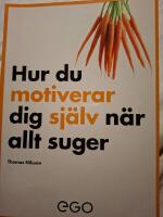 Hur du motiverar dig sj&auml;lv n&auml;r allt suger