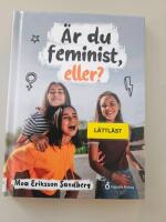 &Auml;r du feminist, eller?