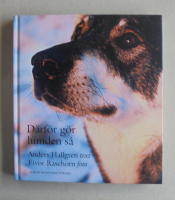 D&auml;rf&ouml;r g&ouml;r hunden s&aring;