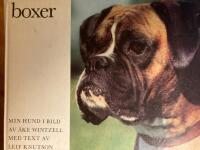 Boxer
