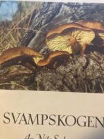 I svampskogen