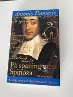 P&aring; spaning efter Spinoza - gl&auml;dje, sorg och den k&auml;nnande hj&auml;rnan