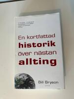 En kortfattad historik &ouml;ver n&auml;stan allting