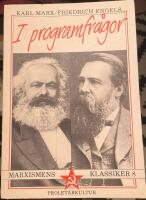 I programfr&aring;gor