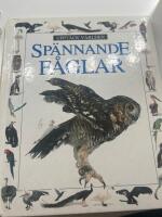 Sp&auml;nnande f&aring;glar