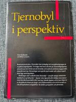 Tjernobyl i perspektiv