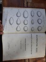 Skandinavisk oologi. Utbredning, Bo och &Auml;gg af Sveriges och Norges foglar jemte Ornitologisk Exkursions-Fauna.