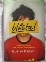 Bl&aring;sta : nedsk&auml;rnings&aring;ren som formade en generation