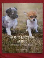 Hund m&ouml;ter hund