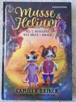 Mysteriet med h&aring;let i v&auml;ggen