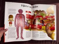 S&aring; fungerar din kropp