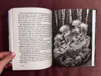 Ronja R&ouml;vardotter