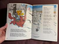 Pio tr&auml;ffar tomten : [en rimsaga]