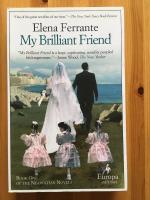 My Brilliant Friend (paperback in English)