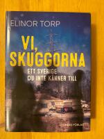 Vi, skuggorna : ett Sverige du inte k&auml;nner till