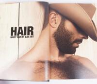 Hair: Hairy Men in Gay Art (in English)