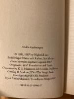 Stiftelsen och Jorden