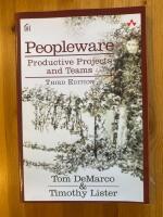 Peopleware : productive projects and teams [Elektronisk resurs] (in English)