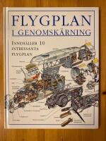Flygplan i genomsk&auml;rning