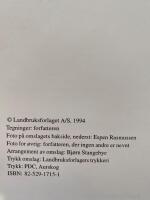 Pauting - teknikk - design, form og linjer