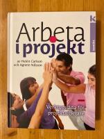Arbeta i projekt : Verktygsl&aring;da f&ouml;r projektarbetare