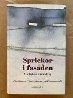 Sprickor i fasaden - manligheter i f&ouml;r&auml;ndring : en antologi