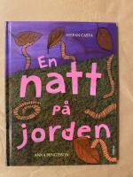 En natt p&aring; jorden