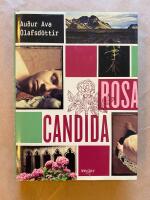 Rosa Candida