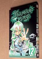 Shaman King 12
