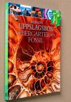 Barnens uppslagsbok om bergarter och fossil