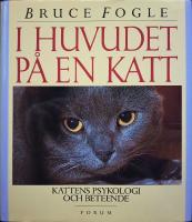 I huvudet p&aring; en katt