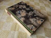 Marit - Historien om en tapper dalakvinna