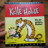 Kalle och Hobbe - du &auml;r galen, Kalle!