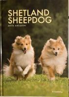 Shetland sheepdog