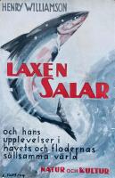 Laxen Salar